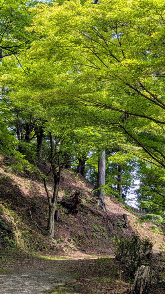兵庫県41市町 カントリーサインの旅 宍粟市 最上山公園