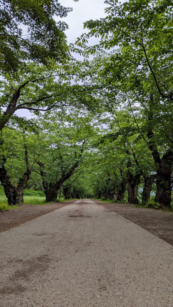 弘前公園