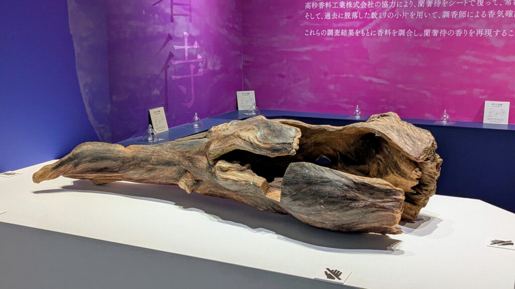 正倉院 THE SHOW － 感じる。いま、ここにある奇跡