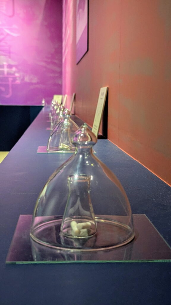 正倉院 THE SHOW － 感じる。いま、ここにある奇跡