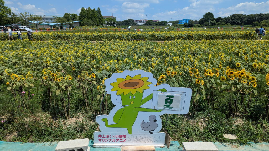 ひまわりの丘公園