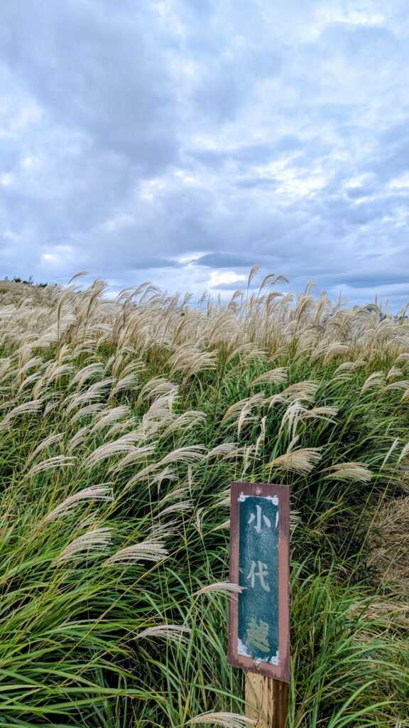 兵庫県41市町 カントリーサインの旅 養父市 ハチ高原