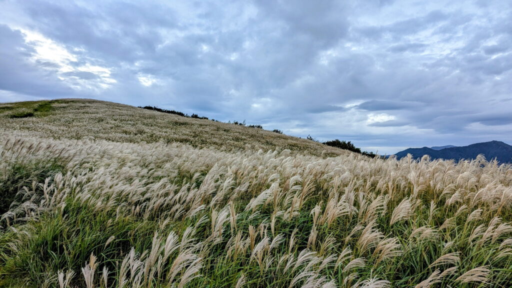 兵庫県41市町 カントリーサインの旅 養父市 ハチ高原