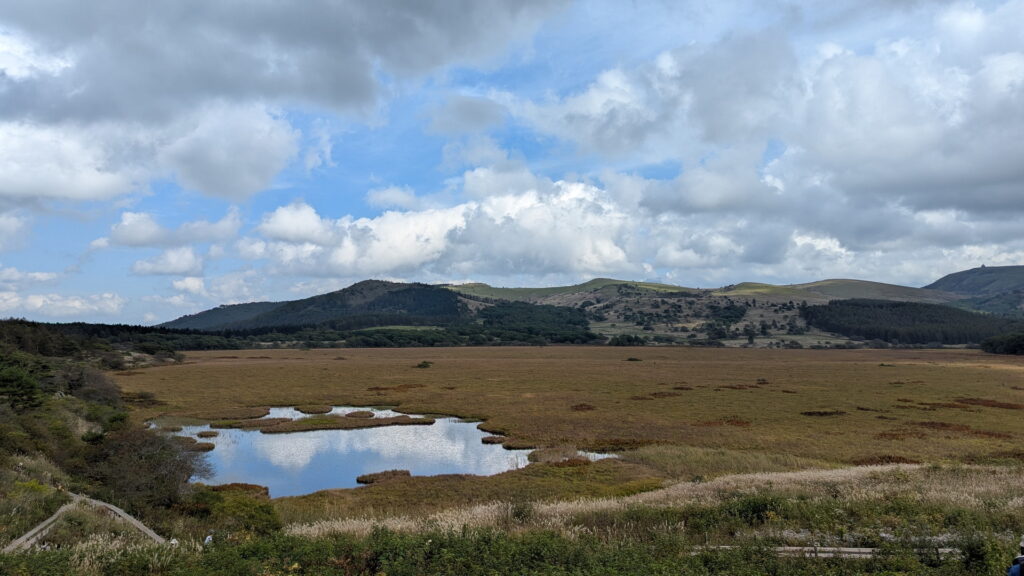 ビーナスライン・八島ヶ原湿原