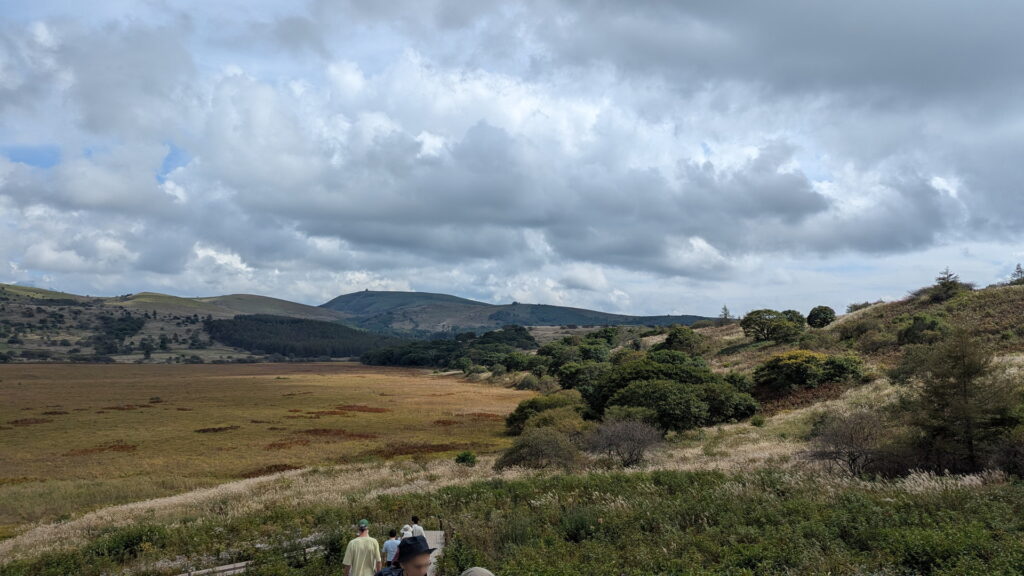 ビーナスライン・八島ヶ原湿原