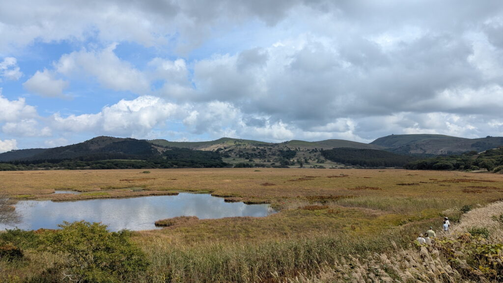 ビーナスライン・八島ヶ原湿原