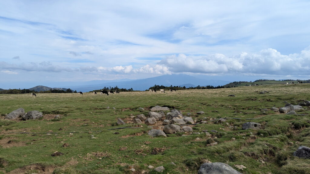 ビーナスライン・美ヶ原牧場