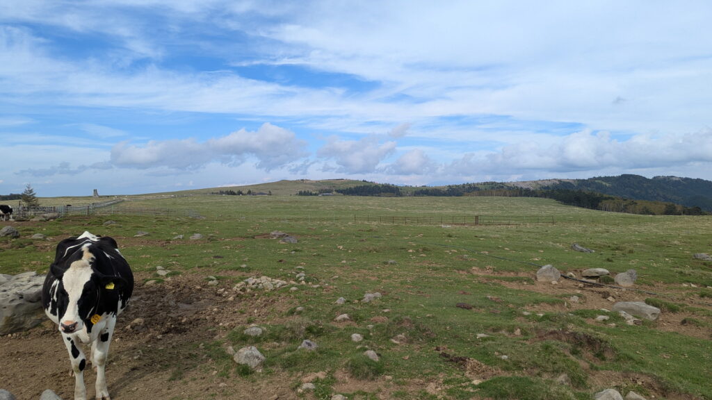 ビーナスライン・美ヶ原牧場