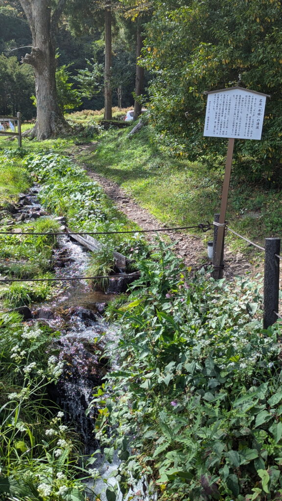 水眼の清流