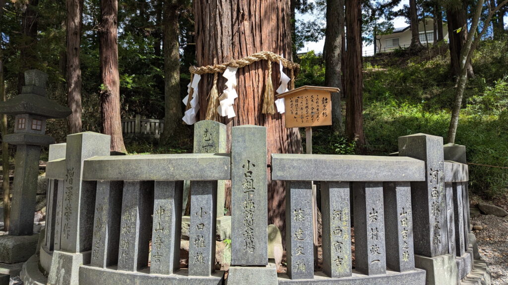 下社春宮 結びの杉