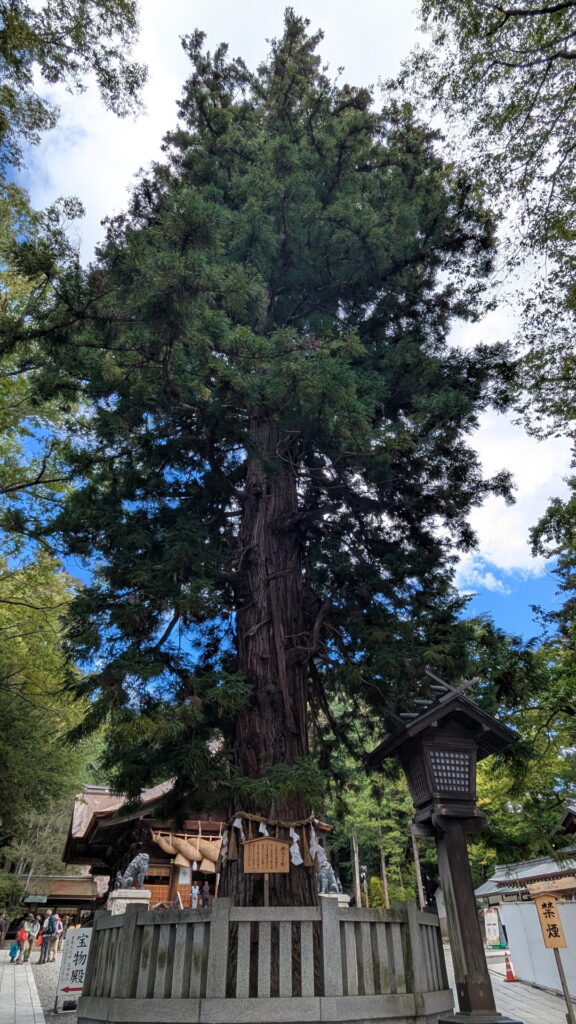 諏訪大社 下社秋宮