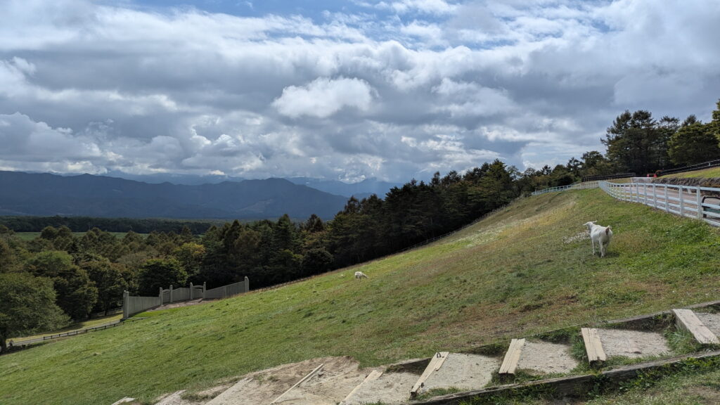 山梨県立 まきば公園