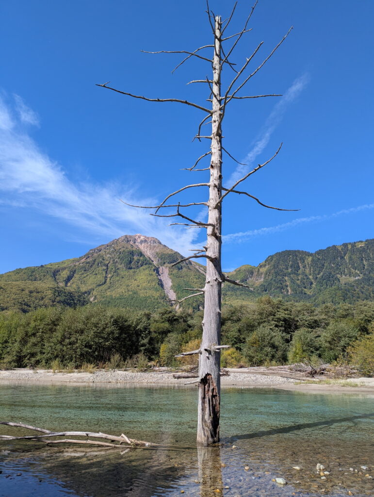 上高地 大正池