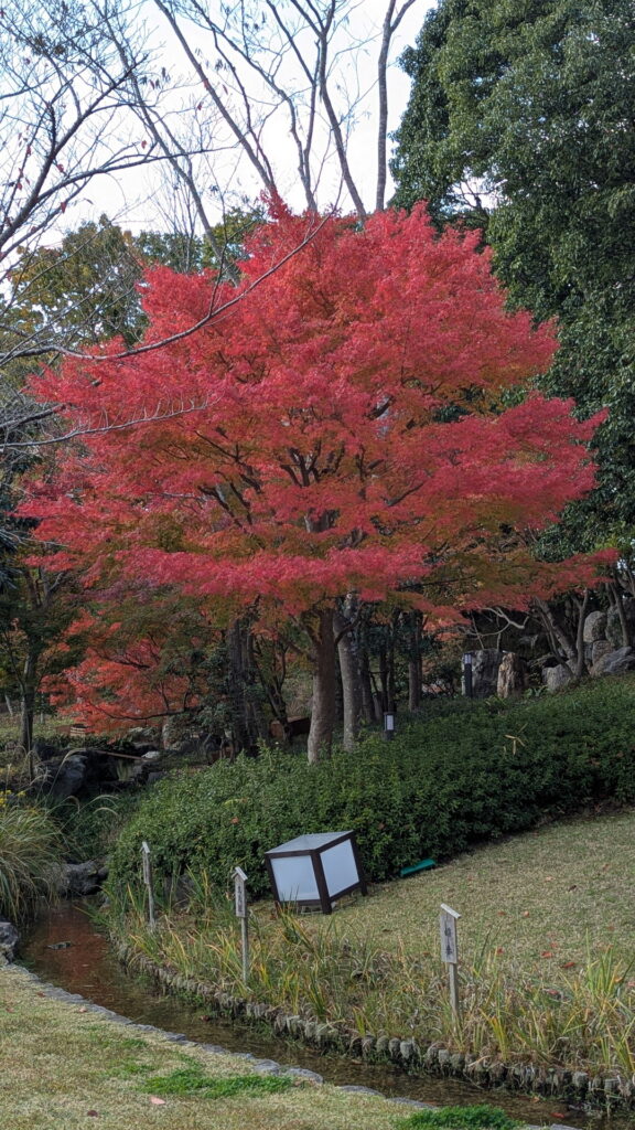 しあわせの村 日本庭園エリア
