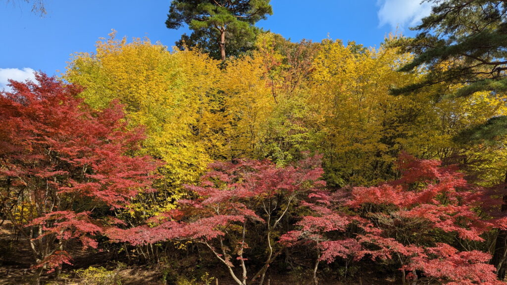 神戸市立森林植物園