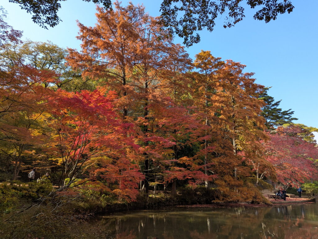 神戸市立森林植物園