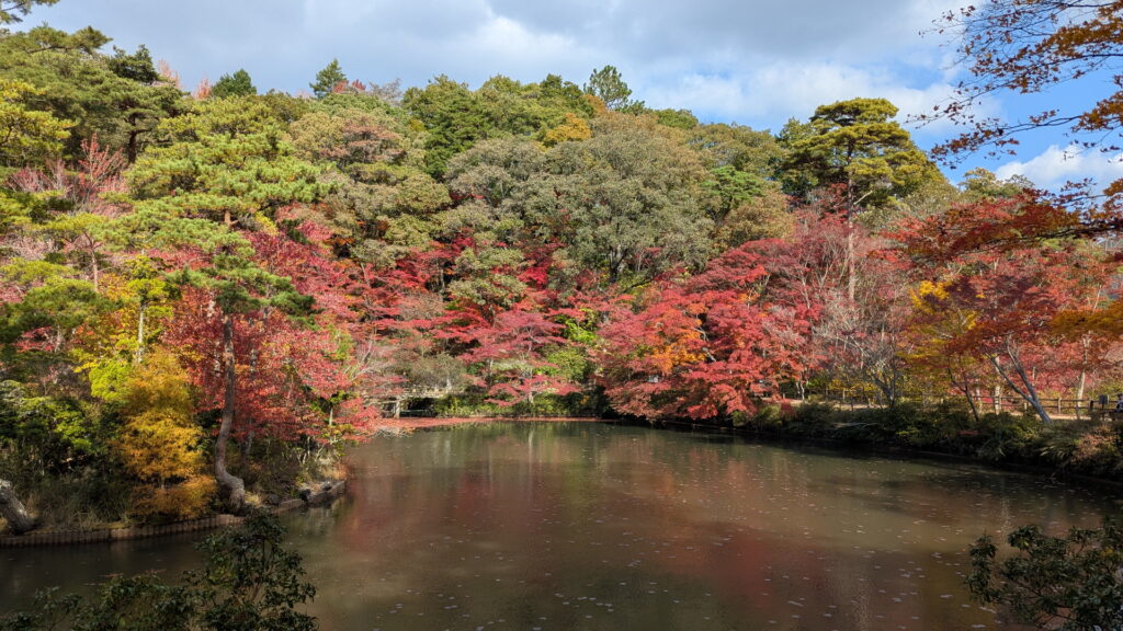 神戸市立森林植物園
