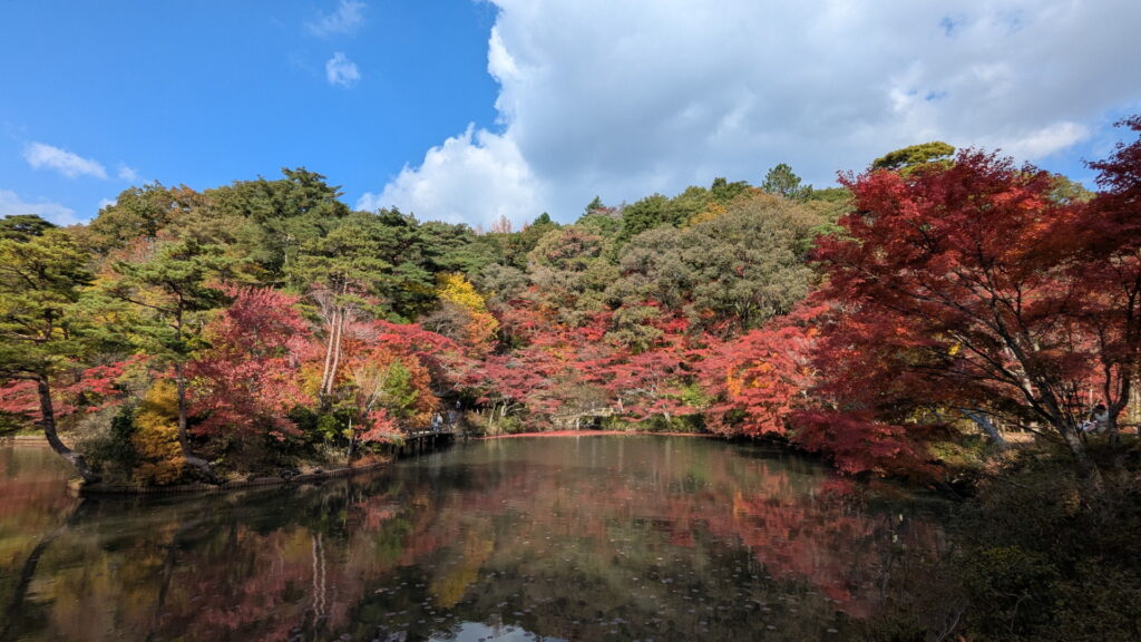 神戸市立森林植物園