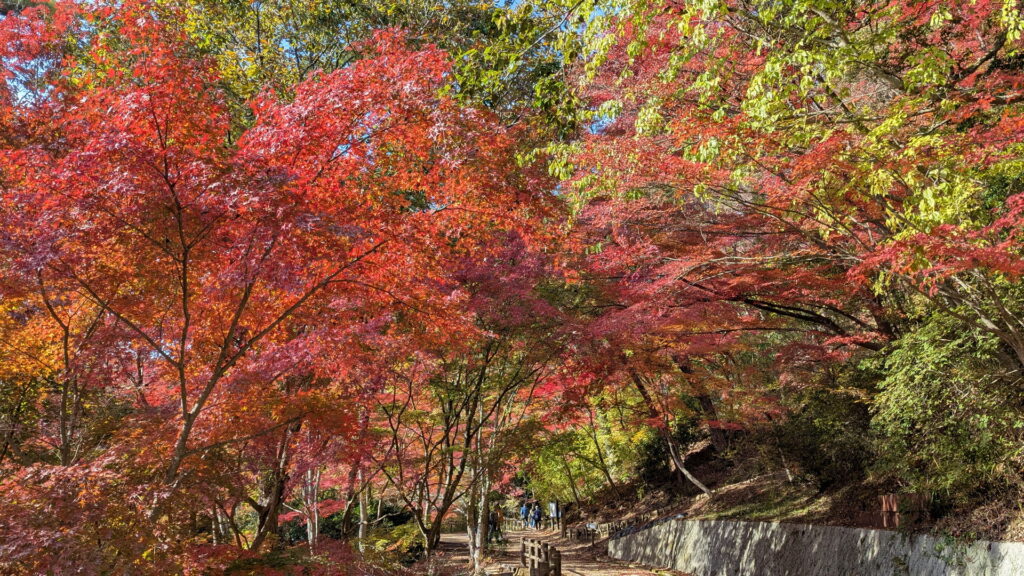 神戸市立森林植物園