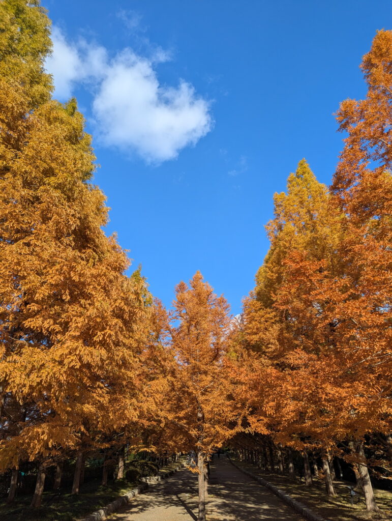 神戸市立森林植物園