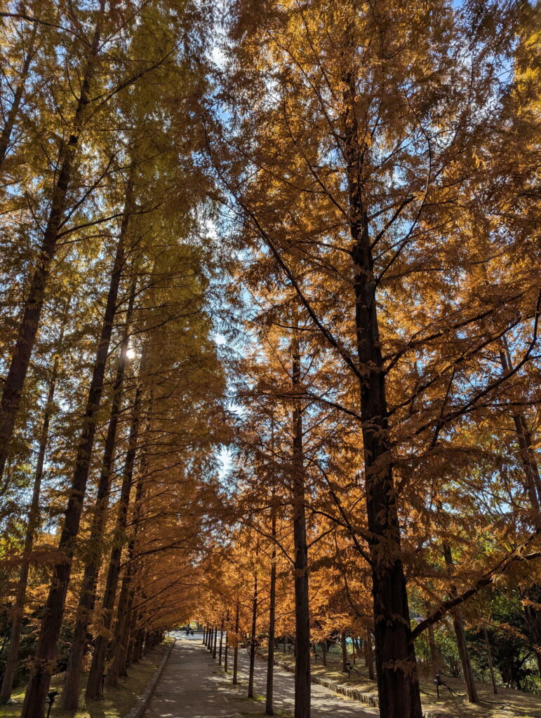 神戸市立森林植物園