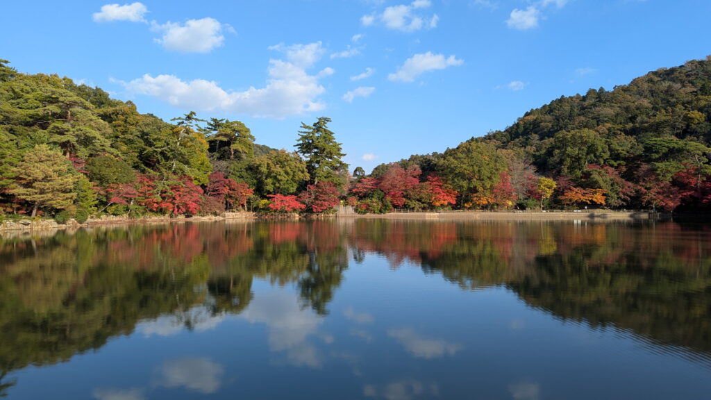 再度公園 修法ヶ原池