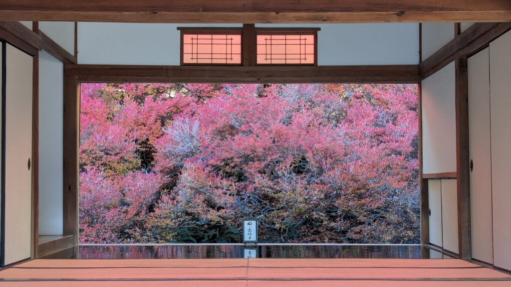 但馬安國禅寺 ドウダンツツジ