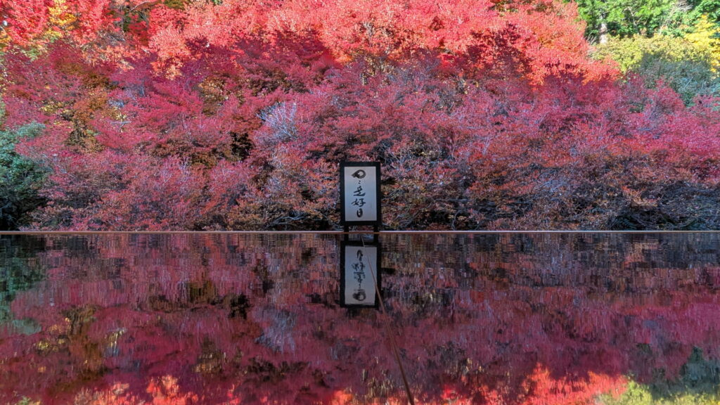 但馬安國禅寺 ドウダンツツジ