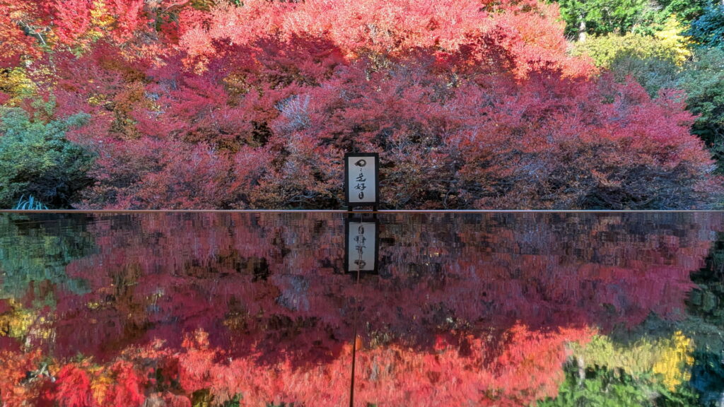 但馬安國禅寺 ドウダンツツジ