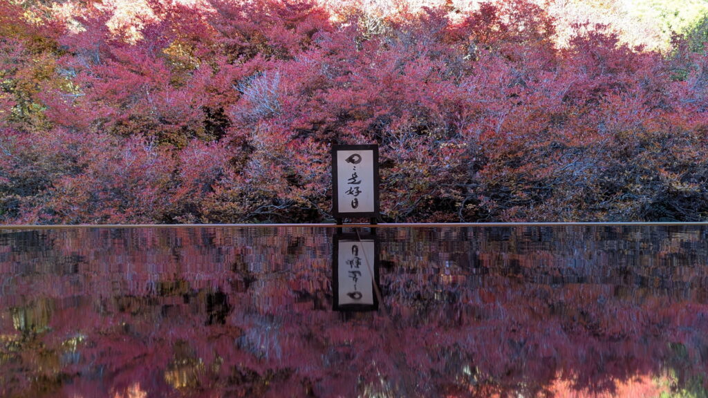 但馬安國禅寺 ドウダンツツジ