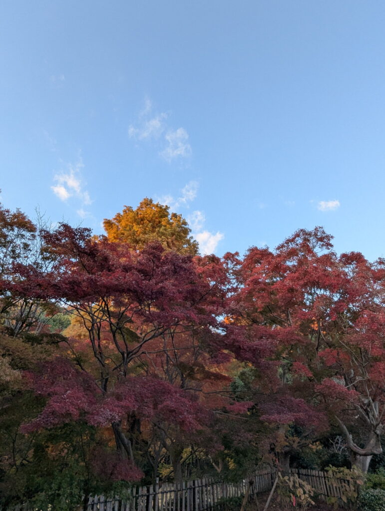 須磨離宮公園 和庭園