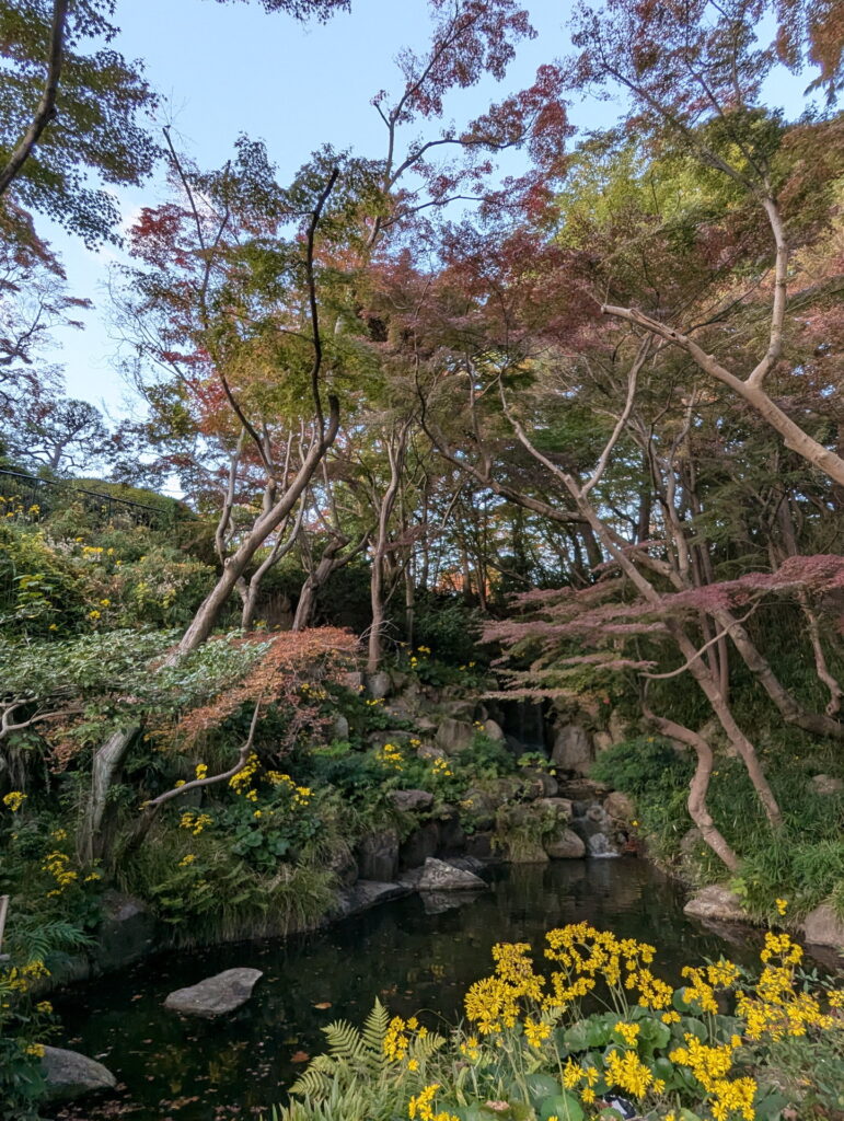 須磨離宮公園 もみじ滝