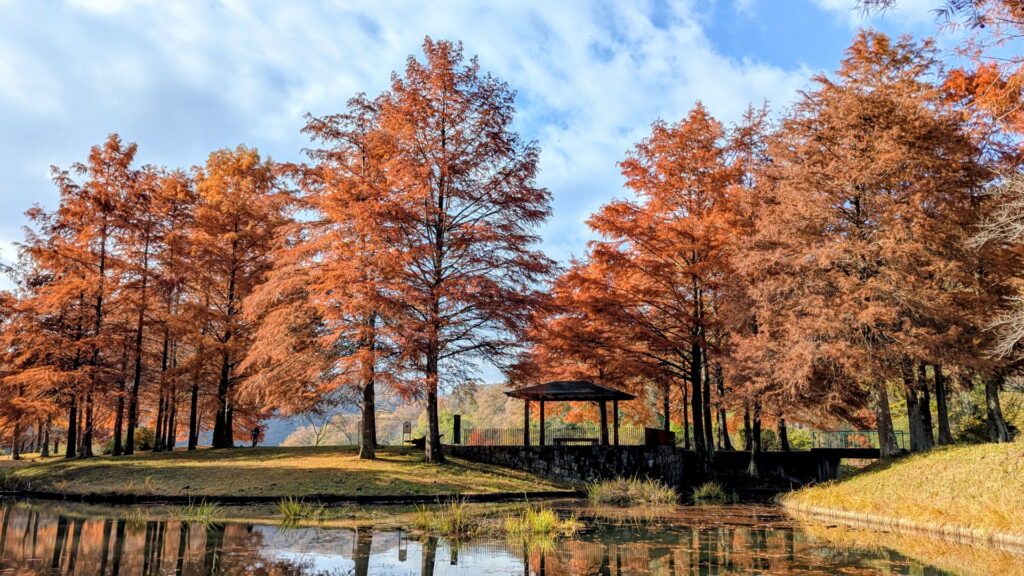 小野公園 モネの池