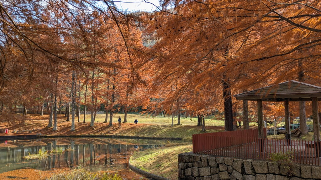 小野公園 モネの池