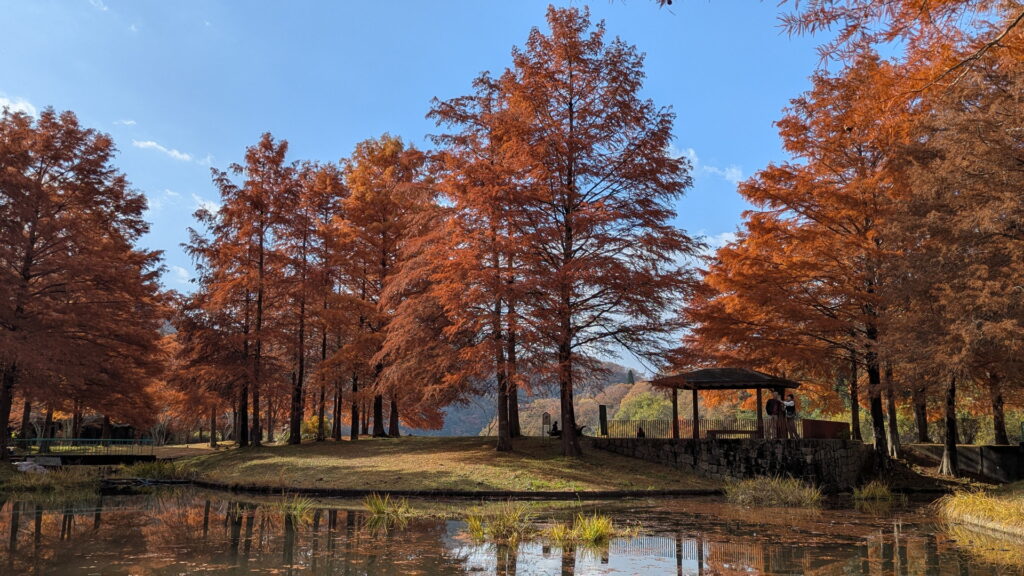 小野公園 モネの池