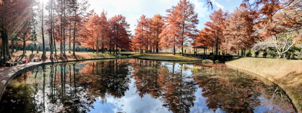 小野公園 モネの池