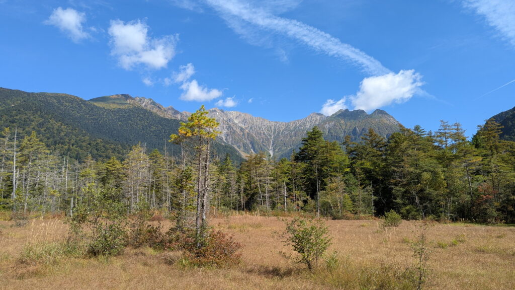 上高地・田代湿原