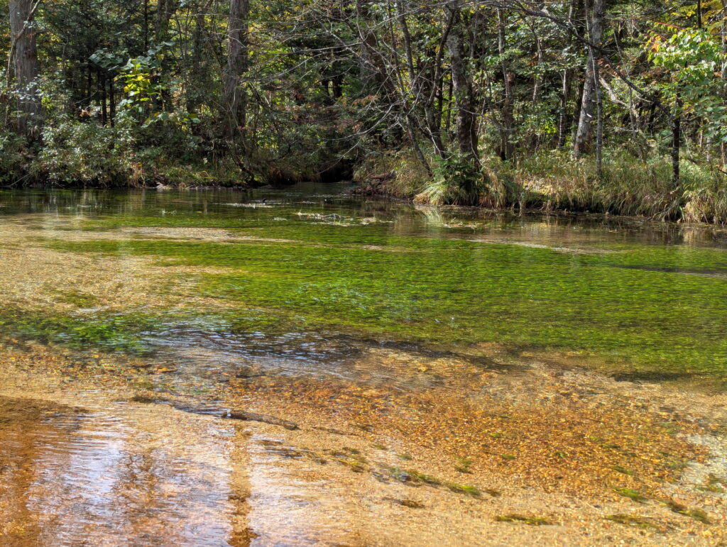 上高地・田代池