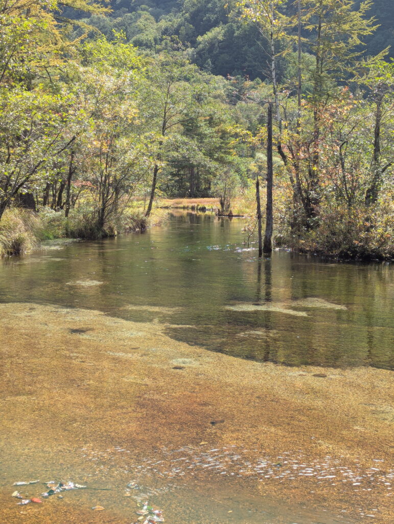 上高地・田代池