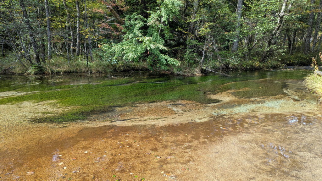 上高地・田代池