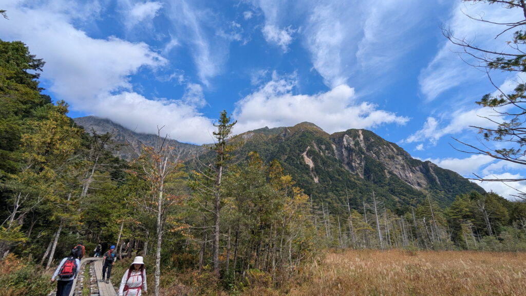 上高地・岳沢湿原