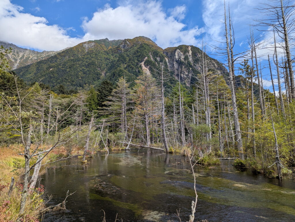 上高地・岳沢湿原
