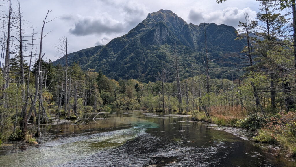 上高地・岳沢湿原