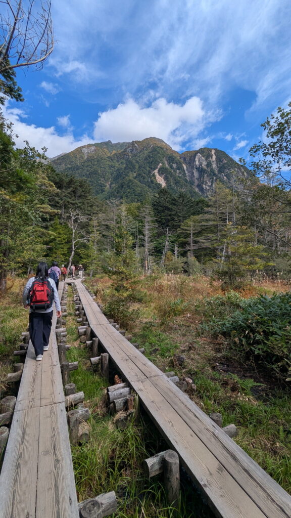 上高地・岳沢湿原