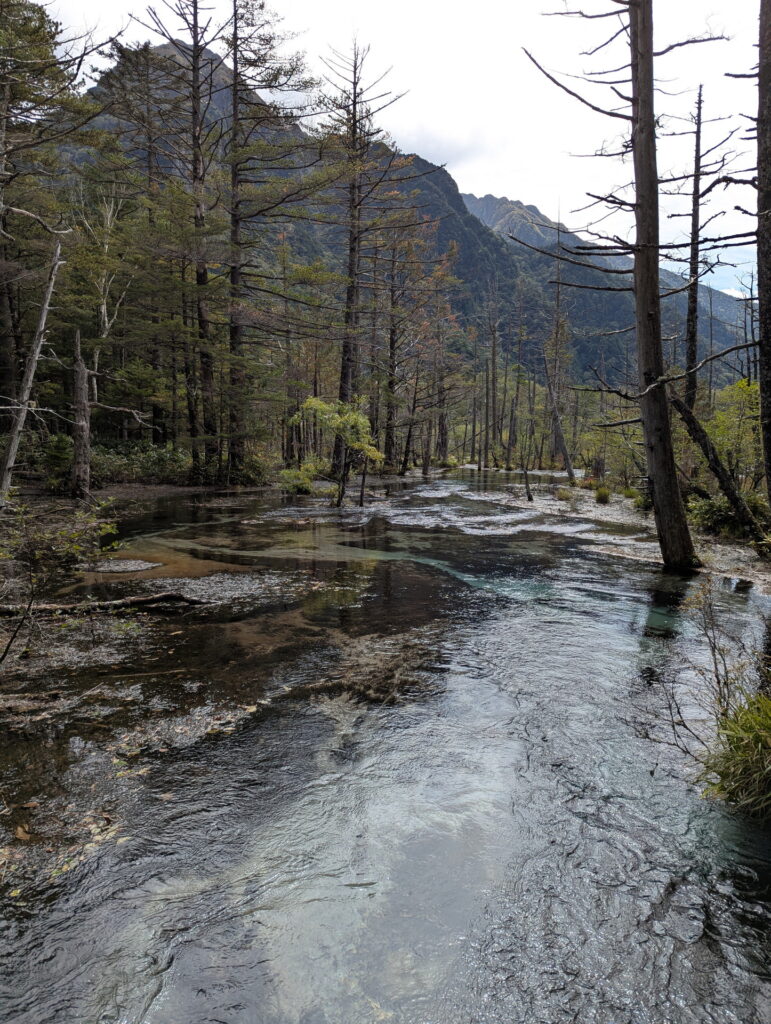 上高地・岳沢湿原