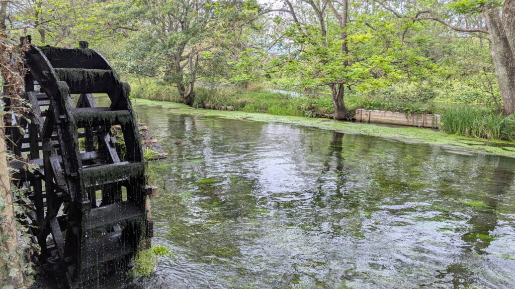 大王わさび農場
