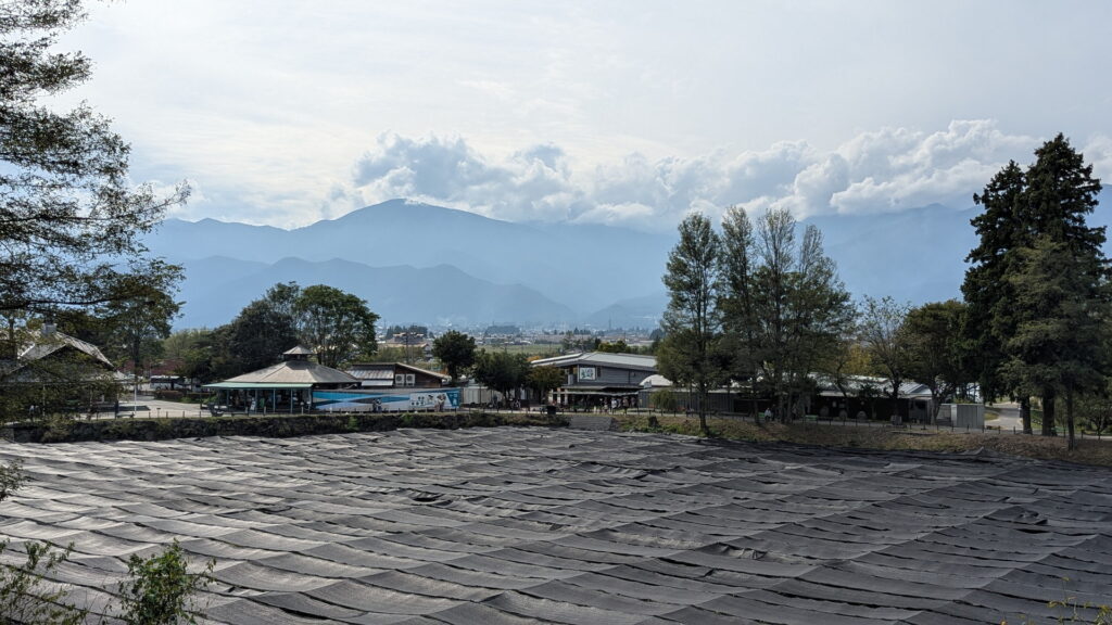 大王わさび農場