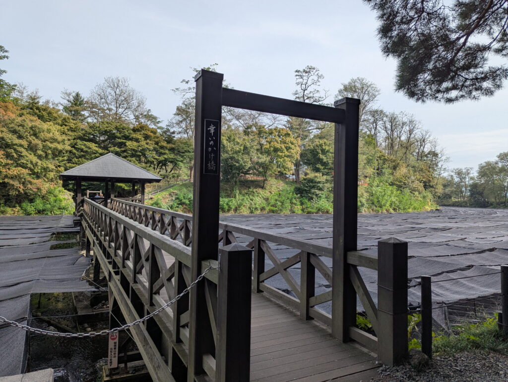 大王わさび農場