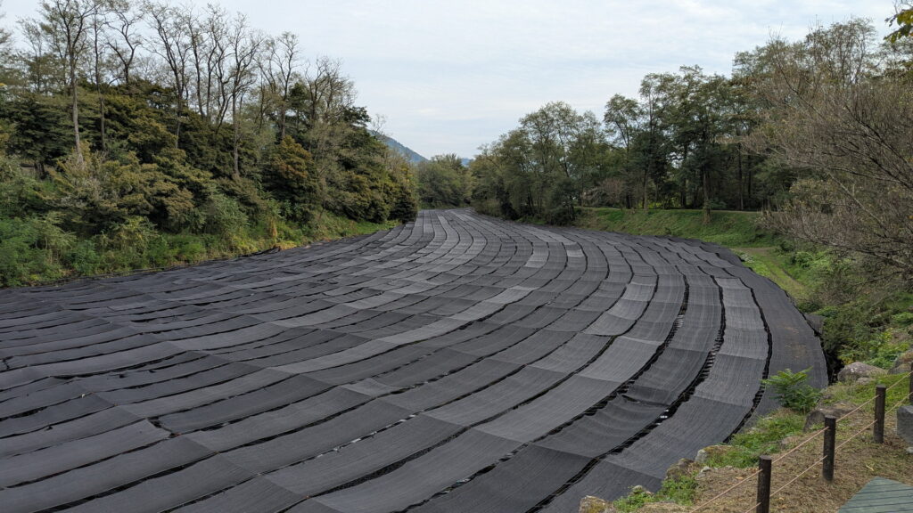 大王わさび農場