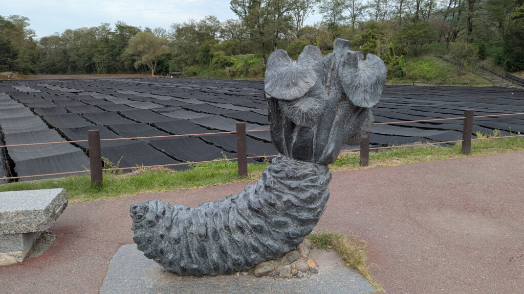 大王わさび農場